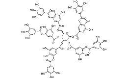 Tannic acid Structure