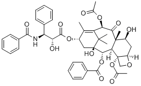 Paclitaxel API from Global Supplier from china _ CAS 33069-62-4