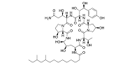 Pneumocandin B0 api ingredients supplier _ manufacturer from china